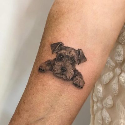 Bruna-pet-portrait